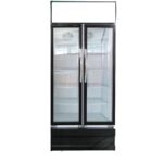 upright double 2 doors chiller