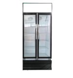 upright double 2 doors chiller
