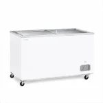 FREEZER UGUR 550 SC WITH LED LIGHT