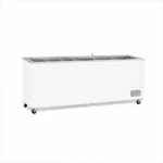 FREEZER UGUR 600 SC WITH LED LIGHT